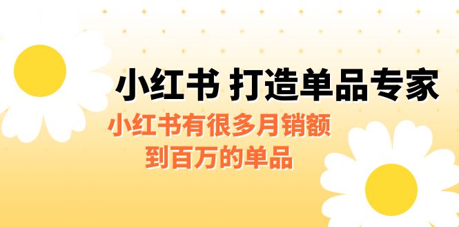 某公众号付费文章《小红书 打造单品专家》小红书有很多月销额到百万的单品-久爱网创