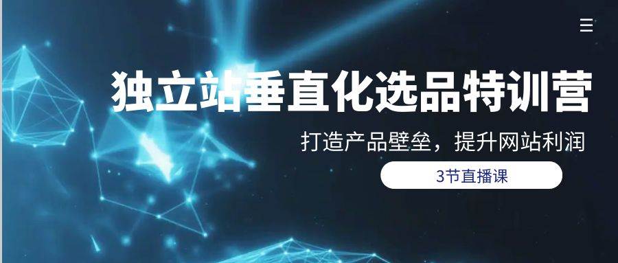图片[1]-独立站-垂直化选品训练营，打造产品壁垒，提升网站利润（3节直播课） - 久爱网创-久爱网创