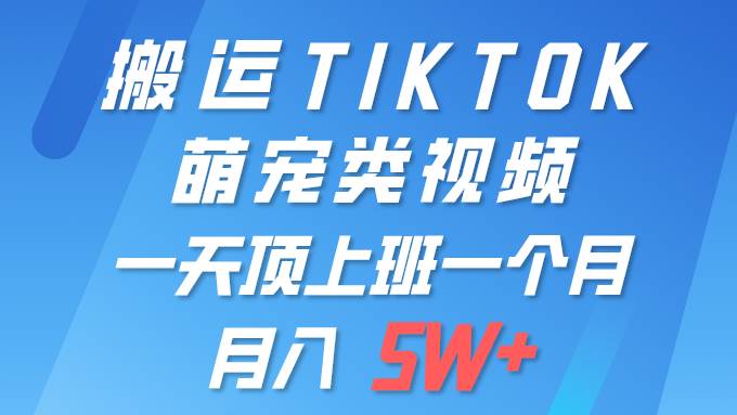 图片[1]-一键搬运TIKTOK萌宠类视频 一部手机即可操作 所有平台均可发布 轻松月入5W+ - 久爱网创-久爱网创