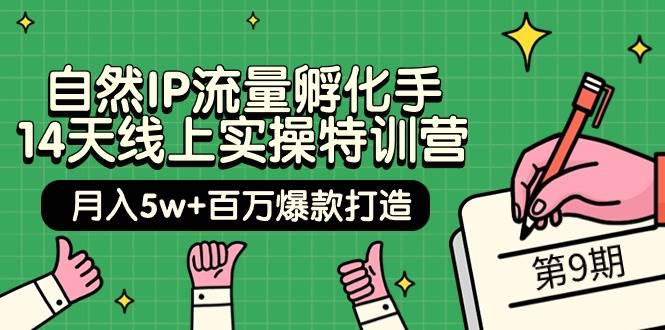 图片[1]-自然IP流量孵化手 14天线上实操特训营【第9期】月入5w+百万爆款打造 (74节) - 久爱网创-久爱网创